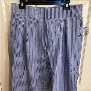 Urban outfitters nwt Blue Striped Pants